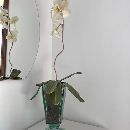 Apartment Moment Collector *